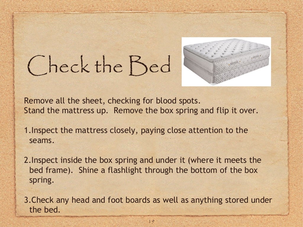 GA bed bugs