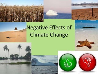 Negative Effects of
Climate Change
 