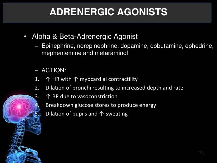 Pharma Adrenergic Agonist Antagonist Cholinergic And Anticholinergi