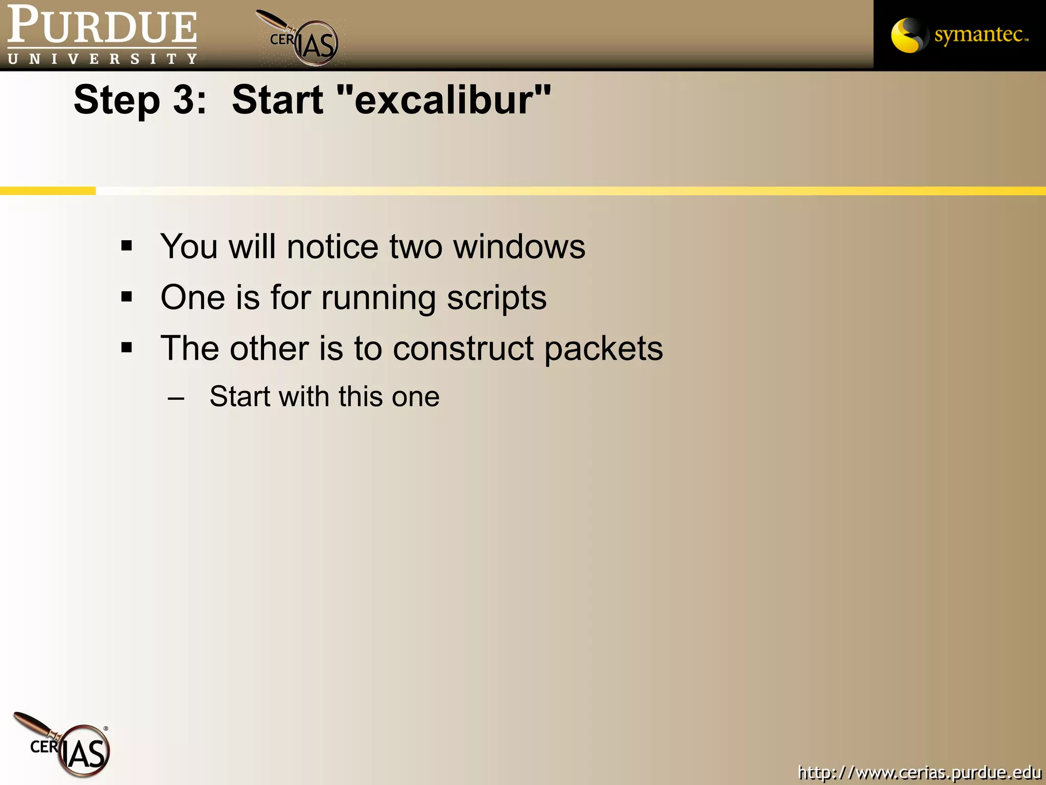 Step 3:  Start "excalibur" You will notice two windows One is for running scripts The other is to construct packets Start with this one 