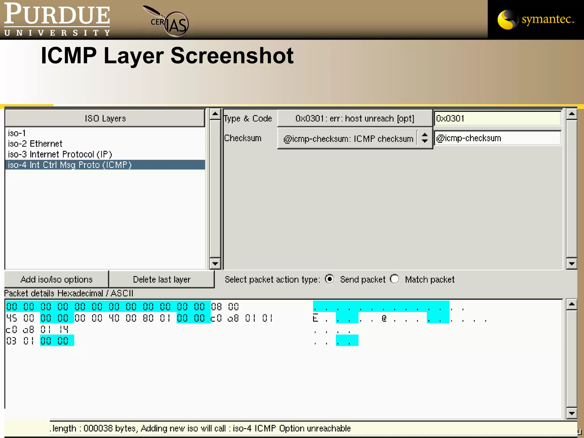 ICMP Layer Screenshot 