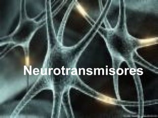 Neurotransmisores
 