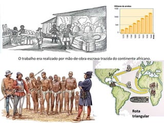 O comércio açucareiro era muito lucrativo. O trabalho era realizado por mão-de-obra escrava trazida do continente africano. Rota triangular 