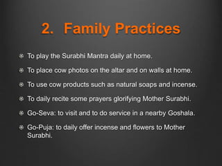 2. Family Practices
To play the Surabhi Mantra daily at home.
To place cow photos on the altar and on walls at home.
To use cow products such as natural soaps and incense.
To daily recite some prayers glorifying Mother Surabhi.
Go-Seva: to visit and to do service in a nearby Goshala.
Go-Puja: to daily offer incense and flowers to Mother
Surabhi.
 