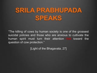 SRILA PRABHUPADA
SPEAKS
“The killing of cows by human society is one of the grossest
suicidal policies and those who are anxious to cultivate the
human spirit must turn their attention first toward the
question of cow protection.”
[Light of the Bhagavata, 27]
 