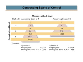 Contrasting Spans of Control
 