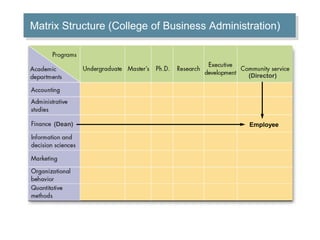 Matrix Structure (College of Business Administration)
(Dean)
(Director)
Employee
 