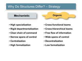• High specialization
• Rigid departmentalization
• Clear chain of command
• Narrow spans of control
• Centralization
• High formalization
• Cross-functional teams
• Cross-hierarchical teams
• Free flow of information
• Wide spans of control
• Decentralization
• Low formalization
Why Do Structures Differ? – Strategy
 