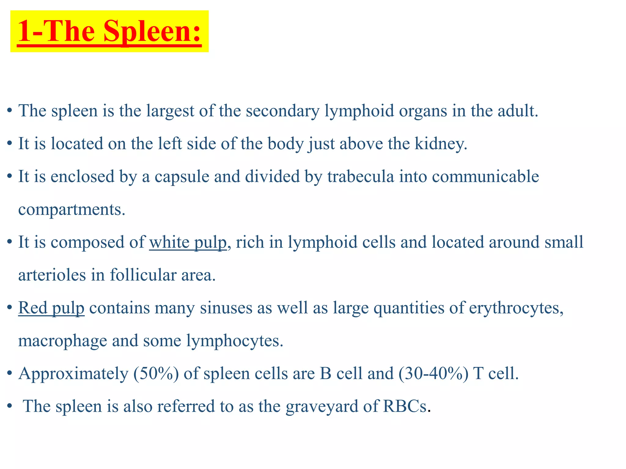 Organs of the Immune system | PPT