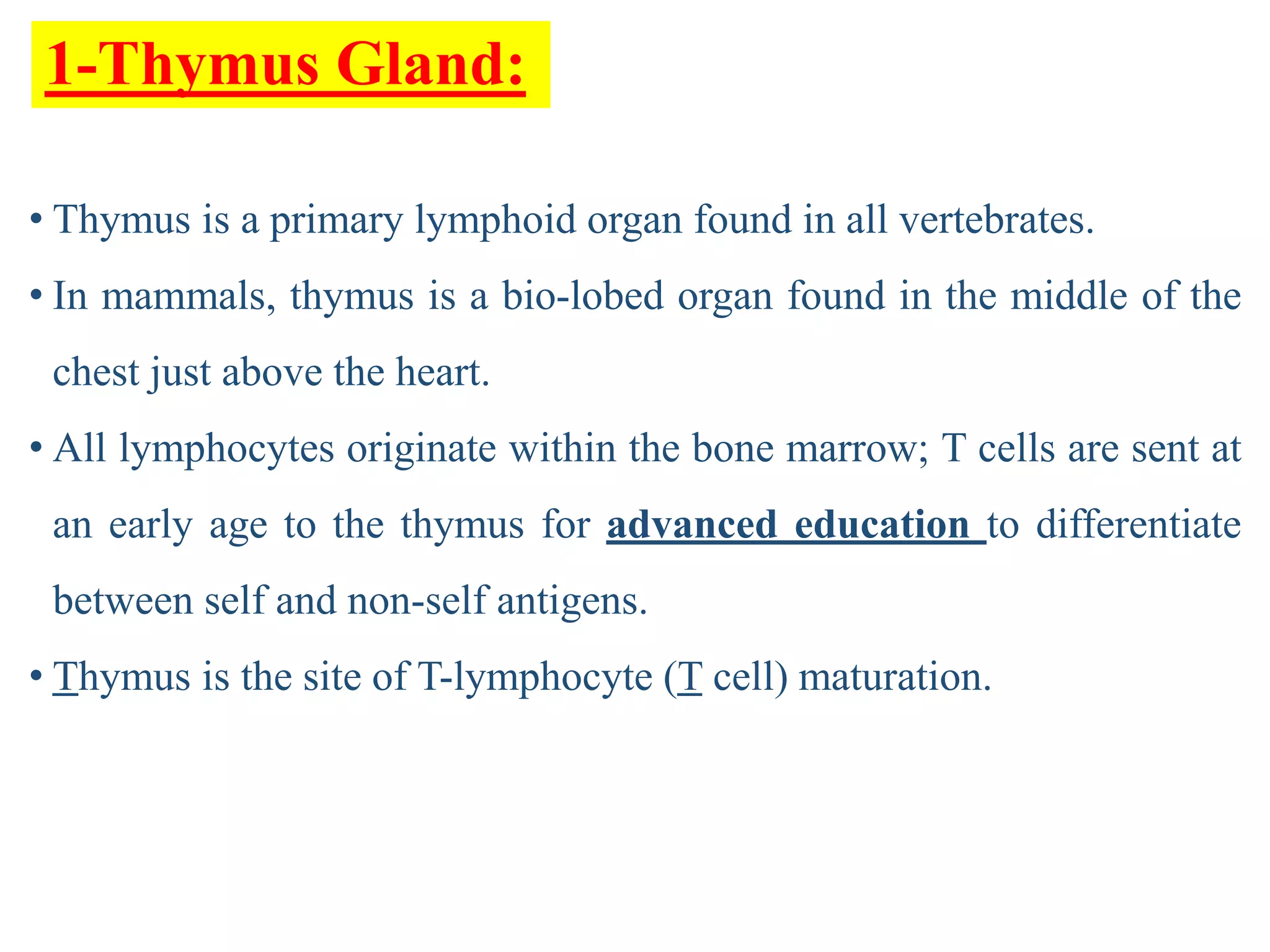 Organs of the Immune system | PPT