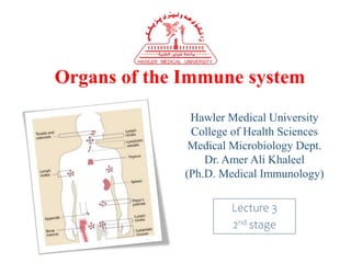 Organs of the Immune system
Hawler Medical University
College of Health Sciences
Medical Microbiology Dept.
Dr. Amer Ali Khaleel
(Ph.D. Medical Immunology)
Lecture 3
2nd stage
 