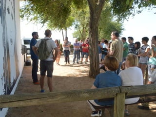 Imágenes Religiosas Locales