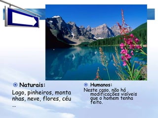 Ferro e madeira para as estruturas.