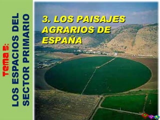 3. LOS PAISAJES AGRARIOS DE ESPAÑA 3. LOS PAISAJES AGRARIOS DE ESPAÑA 