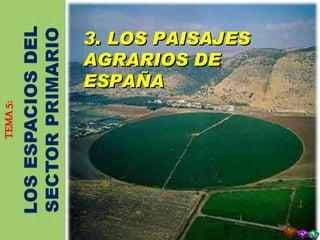 3. LOS PAISAJES AGRARIOS DE ESPAÑA 3. LOS PAISAJES AGRARIOS DE ESPAÑA 