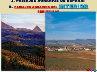 3. PAISAJES AGRARIOS DE ESPAÑA:  B.  PAISAJES AGRARIOS DEL  INTERIOR  PENINSULAR 