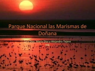 Parque Nacional las Marismas de Doñana Lara Díaz, María Díaz y Alejandro Tejero 4ºB 