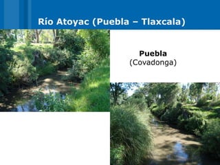 Río Atoyac (Puebla – Tlaxcala)


                    Puebla
                  (Covadonga)
 