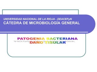 UNIVERSIDAD NACIONAL DE LA RIOJA - DEACEFyN
CÁTEDRA DE MICROBIOLOGÍA GENERAL
 