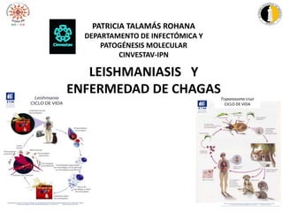 Trypanosoma cruzi
CICLO DE VIDA
PATRICIA TALAMÁS ROHANA
DEPARTAMENTO DE INFECTÓMICA Y
PATOGÉNESIS MOLECULAR
CINVESTAV-IPN
LEISHMANIASIS Y
ENFERMEDAD DE CHAGAS
 