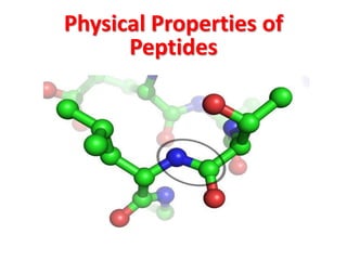 Physical Properties of
Peptides

 