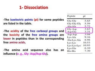 1- Dissociation
-The isoelectric points (pI) for some peptides
are listed in the table.
-The acidity of the free carboxyl groups and
the basicity of the free amino groups are
lower in peptides than in the corresponding
free amino acids.
-The amino acid sequence also has an
inﬂuence (e. g., Gly- Asp/Asp-Gly).

 