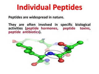 Individual Peptides
Peptides are widespread in nature.

They are often involved in speciﬁc biological
activities (peptide hormones, peptide toxins,
peptide antibiotics).

 
