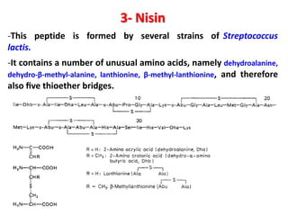 3- Nisin
-This peptide is formed by several strains of Streptococcus
lactis.
-It contains a number of unusual amino acids, namely dehydroalanine,
dehydro-β-methyl-alanine, lanthionine, β-methyl-lanthionine, and therefore
also ﬁve thioether bridges.

 