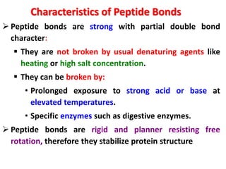 Characteristics of Peptide Bonds
 Peptide bonds are strong with partial double bond
character:

 They are not broken by usual denaturing agents like
heating or high salt concentration.
 They can be broken by:

• Prolonged exposure to strong acid or base at
elevated temperatures.
• Specific enzymes such as digestive enzymes.

 Peptide bonds are rigid and planner resisting free
rotation, therefore they stabilize protein structure

 