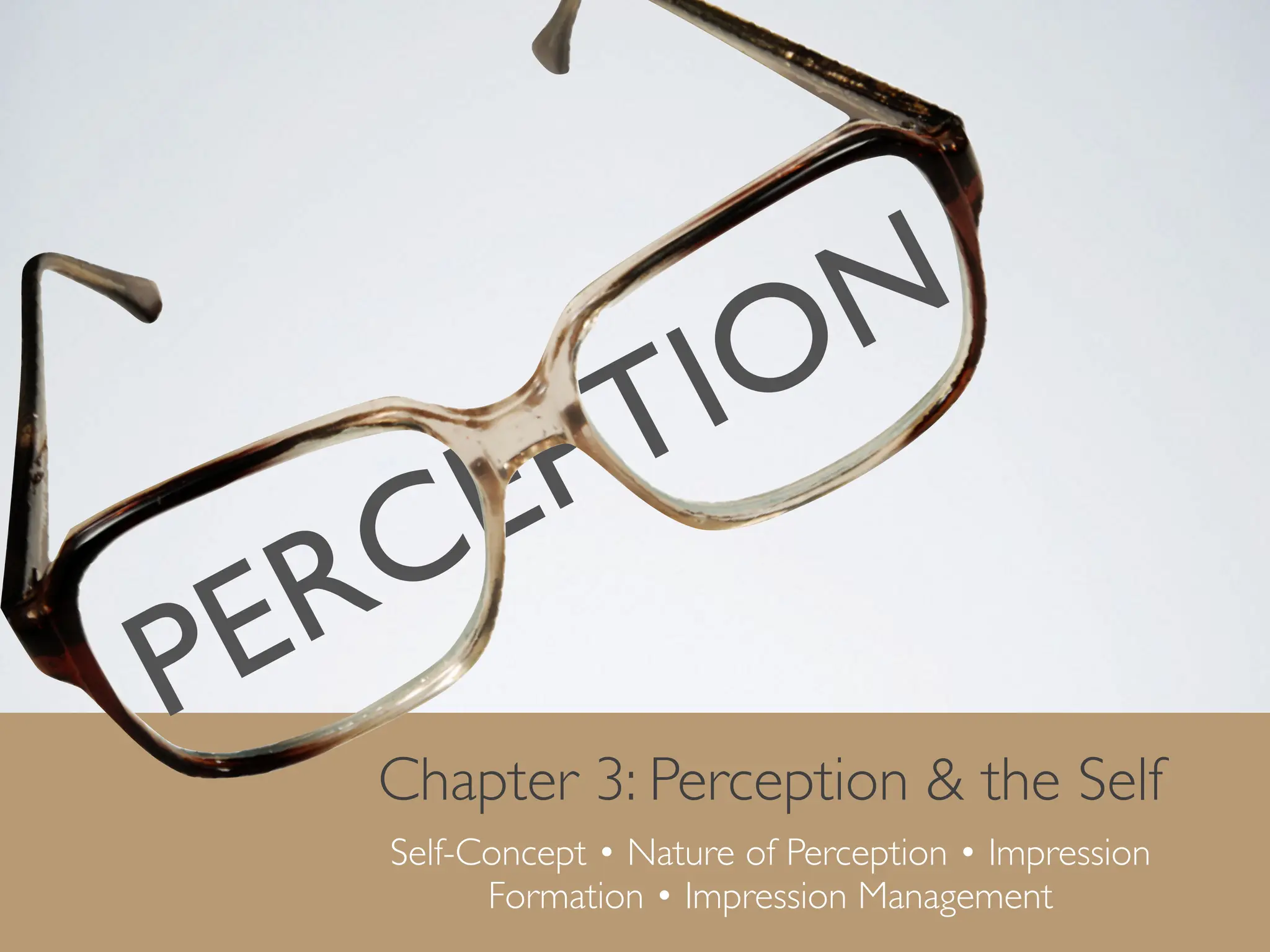 PERCEPTION
Chapter 3: Perception & the Self
Self-Concept • Nature of Perception • Impression
Formation • Impression Management
 