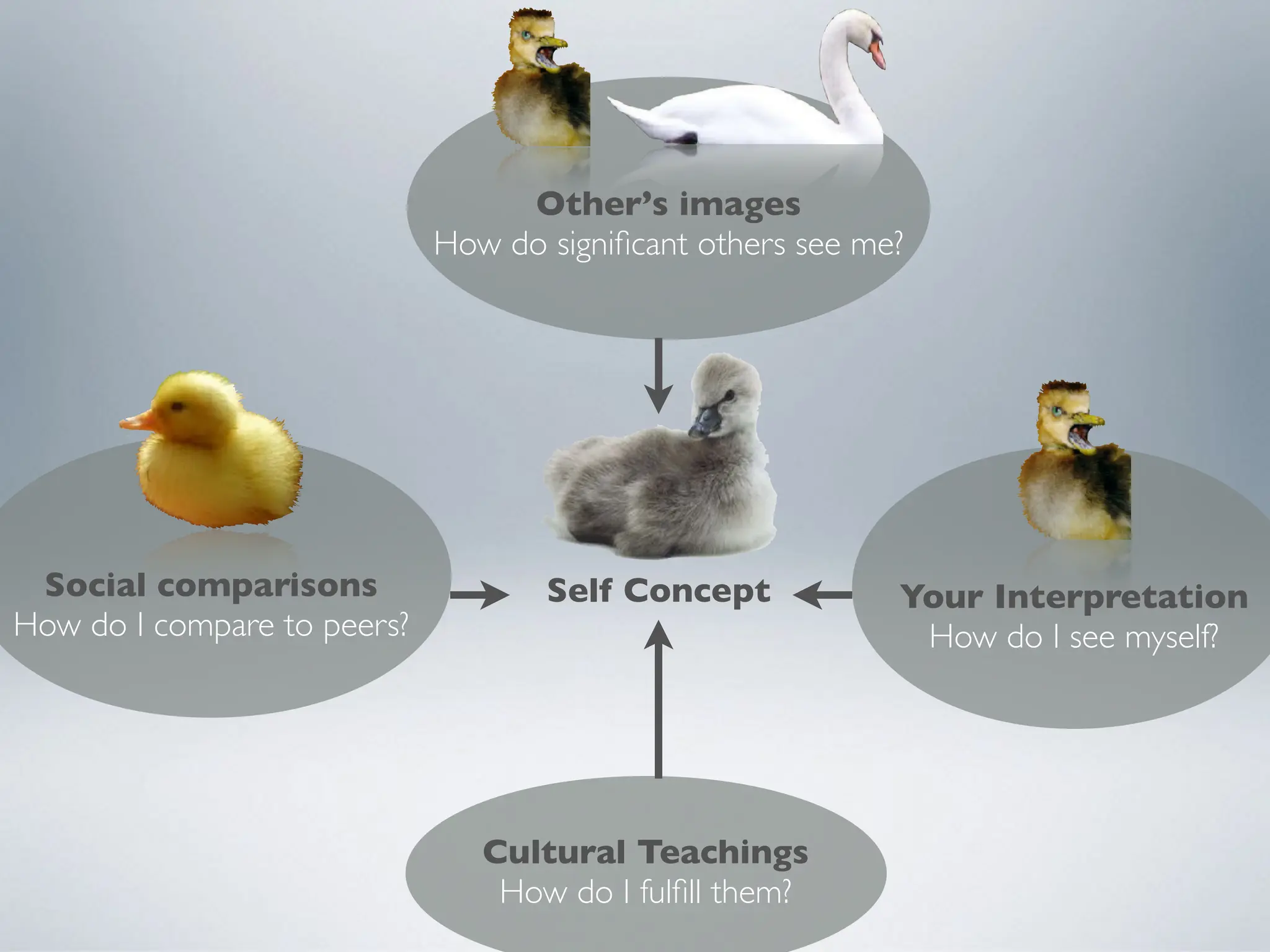 Cultural Teachings
How do I fulfill them?
Other’s images
How do significant others see me?
Your Interpretation
How do I see myself?
Social comparisons
How do I compare to peers?
Self Concept
 
