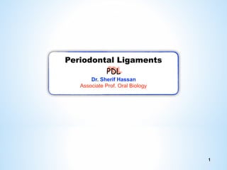 1
Periodontal Ligaments
PDL
Dr. Sherif Hassan
Associate Prof. Oral Biology
 