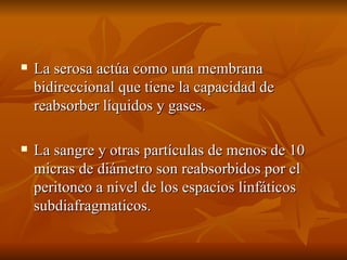 La serosa actúa como una membrana bidireccional que tiene la capacidad de reabsorber líquidos y gases. La sangre y otras partículas de menos de 10 micras de diámetro son reabsorbidos por el peritoneo a nivel de los espacios linfáticos subdiafragmaticos. 