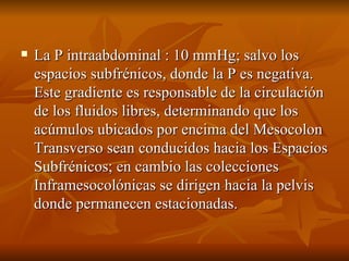 La P intraabdominal : 10 mmHg; salvo los espacios subfrénicos, donde la P es negativa. Este gradiente es responsable de la circulación de los fluidos libres, determinando que los acúmulos ubicados por encima del Mesocolon Transverso sean conducidos hacia los Espacios Subfrénicos; en cambio las colecciones Inframesocolónicas se dirigen hacia la pelvis donde permanecen estacionadas. 