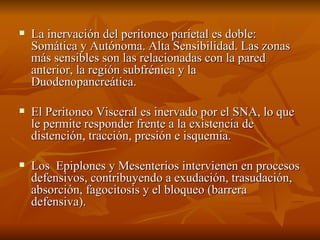 La inervación del peritoneo parietal es doble: Somática y Autónoma. Alta Sensibilidad. Las zonas más sensibles son las relacionadas con la pared anterior, la región subfrénica y la Duodenopancreática. El Peritoneo Visceral es inervado por el SNA, lo que le permite responder frente a la existencia de distención, tracción, presión e isquemia. Los  Epiplones y Mesenterios intervienen en procesos defensivos, contribuyendo a exudación, trasudación, absorción, fagocitosis y el bloqueo (barrera defensiva). 