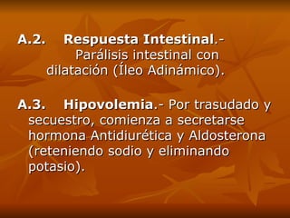 A.2.    Respuesta Intestinal .-  Parálisis intestinal con  dilatación (Íleo Adinámico). A.3.    Hipovolemia .- Por trasudado y secuestro ,  comienza a secretarse hormona Antidiurética y Aldosterona (reteniendo sodio y eliminando potasio). 