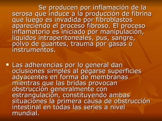 Se producen por inflamación de la serosa que induce a la producción de fibrina que luego es invadida por fibroblastos apareciendo el proceso fibroso. El proceso inflamatorio es iniciado por manipulación, líquidos intraperitoneales, pus, sangre, polvo de guantes, trauma por gasas o instrumentos.  Las adherencias por lo general dan oclusiones simples al pegarse superficies adyacentes en forma de membranas mientras que las bridas provocan obstrucción generalmente con estrangulación, constituyendo ambas situaciones la primera causa de obstrucción intestinal en todas las series a nivel mundial.  