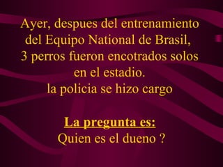 Ayer, despues del entrenamiento del Equipo National de Brasil,  3 perros fueron encotrados solos en el estadio. la policia se hizo cargo La pregunta es:   Quien es el dueno ? 