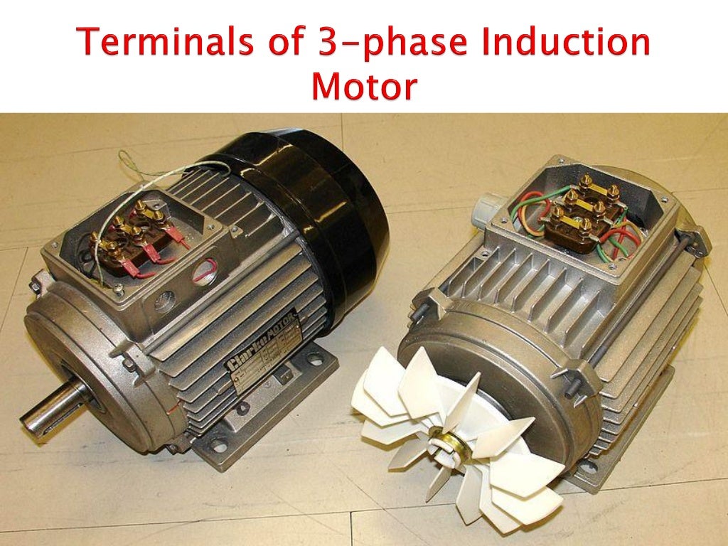 3 ph induction motor ppt