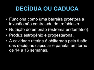 DECÍDUA OU CADUCA Funciona como uma barreira protetora a invasão não controlada do trofoblasto. Nutrição do embrião (estroma endométrio) Produz estrogênio e progesterona. A cavidade uterina é obliterada pela fusão das decíduas capsular e parietal em torno de 14 a 16 semanas. 
