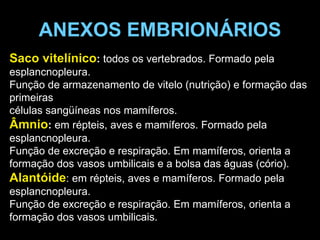 ANEXOS EMBRIONÁRIOS Saco vitelínico :  todos os vertebrados. Formado pela esplancnopleura.  Função de armazenamento de vitelo (nutrição) e formação das primeiras  células sangüíneas nos mamíferos. Âmnio :  em répteis, aves e mamíferos. Formado pela esplancnopleura.  Função de excreção e respiração. Em mamíferos, orienta a formação dos vasos umbilicais e a bolsa das águas (cório). Alantóide : em répteis, aves e mamíferos. Formado pela esplancnopleura. Função de excreção e respiração. Em mamíferos, orienta a formação dos vasos umbilicais. 