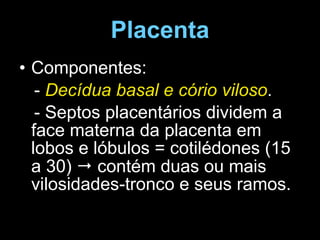 Placenta Componentes: -  Decídua basal e cório viloso . - Septos placentários dividem a face materna da placenta em lobos e lóbulos = cotilédones (15 a 30)    contém duas ou mais vilosidades-tronco e seus ramos. 
