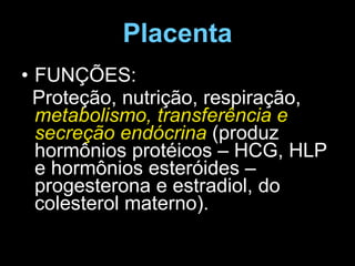 Placenta FUNÇÕES: Proteção, nutrição, respiração,  metabolismo, transferência e secreção endócrina  (produz hormônios protéicos – HCG, HLP e hormônios esteróides – progesterona e estradiol, do colesterol materno). 
