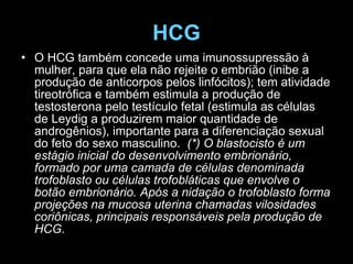 HCG O HCG também concede uma imunossupressão à mulher, para que ela não rejeite o embrião (inibe a produção de anticorpos pelos linfócitos); tem atividade tireotrófica e também estimula a produção de testosterona pelo testículo fetal (estimula as células de Leydig a produzirem maior quantidade de androgênios), importante para a diferenciação sexual do feto do sexo masculino.   (*) O blastocisto é um estágio inicial do desenvolvimento embrionário, formado por uma camada de células denominada trofoblasto ou células trofobláticas que envolve o botão embrionário. Após a nidação o trofoblasto forma projeções na mucosa uterina chamadas vilosidades coriônicas, principais responsáveis pela produção de HCG. 
