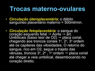 Trocas materno-ovulares Circulação úteroplacentária ; o débito sanguíneo placentário materno = 500ml/min. Circulação fetoplacentária ; o sangue do coração esquerdo fetal    Aorta    art. Umbilicais (baixo teor de O2)    placa corial, chegando aos troncos coriais  1 º , 2 º , 3 º  ordem até os capilares das vilosidades. O retorno do sangue, rico em O2, segue o trajeto das vênulas, troncos 3 º , 2 º  , 1 º  ordem    placa corial até chegar a veia umbilical, desembocando no coração direito.  