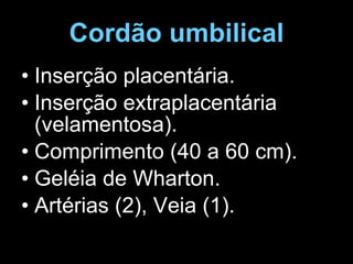 Cordão umbilical Inserção placentária. Inserção extraplacentária (velamentosa). Comprimento (40 a 60 cm). Geléia de Wharton. Artérias (2), Veia (1). 