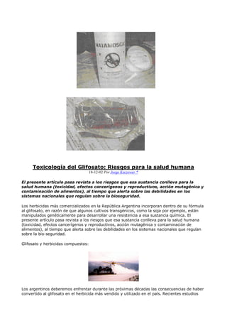 Toxicología del Glifosato: Riesgos para la salud humana
                                     18-12-02 Por Jorge Kaczewer *

El presente artículo pasa revista a los riesgos que esa sustancia conlleva para la
salud humana (toxicidad, efectos cancerígenos y reproductivos, acción mutagénica y
contaminación de alimentos), al tiempo que alerta sobre las debilidades en los
sistemas nacionales que regulan sobre la bioseguridad.

Los herbicidas más comercializados en la República Argentina incorporan dentro de su fórmula
al glifosato, en razón de que algunos cultivos transgénicos, como la soja por ejemplo, están
manipulados genéticamente para desarrollar una resistencia a esa sustancia química. El
presente artículo pasa revista a los riesgos que esa sustancia conlleva para la salud humana
(toxicidad, efectos cancerígenos y reproductivos, acción mutagénica y contaminación de
alimentos), al tiempo que alerta sobre las debilidades en los sistemas nacionales que regulan
sobre la bio-seguridad.

Glifosato y herbicidas compuestos:




Los argentinos deberemos enfrentar durante las próximas décadas las consecuencias de haber
convertido al glifosato en el herbicida más vendido y utilizado en el país. Recientes estudios
 