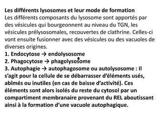 3-Planches 3 Les lysosomes.pdf