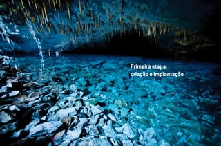 Primeira etapa:
criação e implantação
 