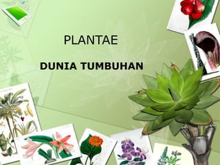 PLANTAE
DUNIA TUMBUHAN
 